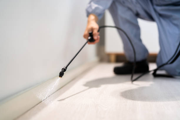 Licensed Cockroach Control service in Orange County County, NC - Nex Pest Control