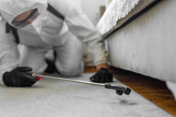 Professional Cockroach Control technician working in Orange County County, NC